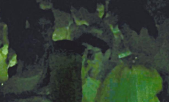 房祖名去年被港媒直擊在中環(huán)夜店與長(zhǎng)發(fā)妞互動(dòng)曖昧，女生正是Nana