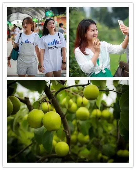 美女與香梨，你更愛(ài)哪一個(gè)？！