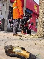 老漢右腿燒傷，樹(shù)下扔了一只燒焦的鞋