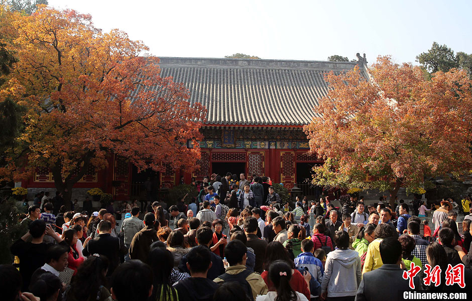 　10月26日，北京香山公園內(nèi)游客摩肩接踵。