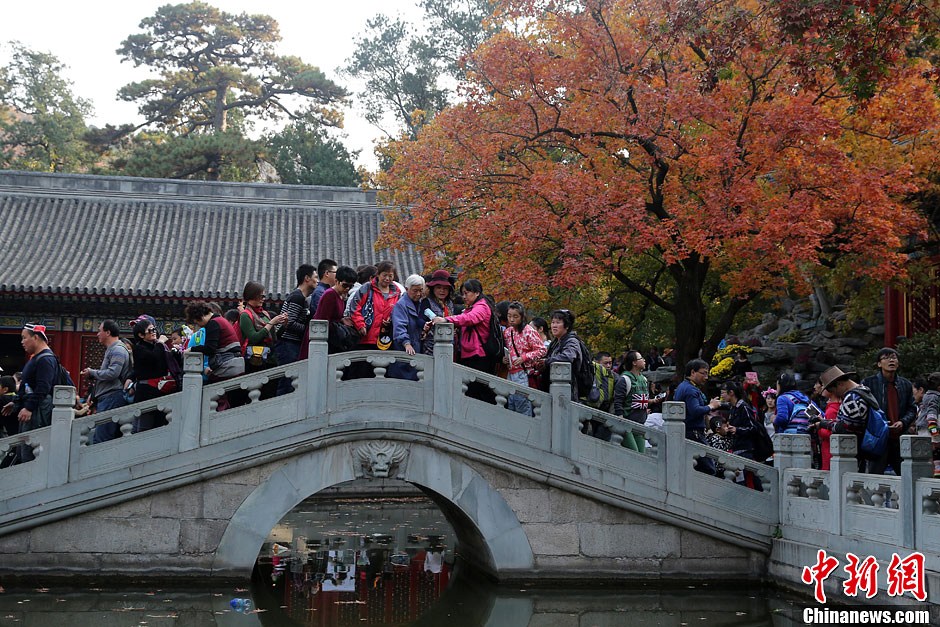 　10月26日，北京香山公園內(nèi)游客摩肩接踵。