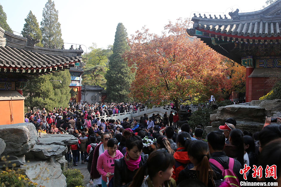 　10月26日，北京香山公園內(nèi)游客摩肩接踵。