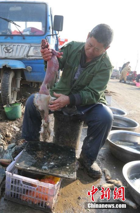 圖為12月1日，104國道靜?？h城附近，顧客挑好后，商販拎著死兔將皮完整地扒下來。田寶希 攝 圖片來