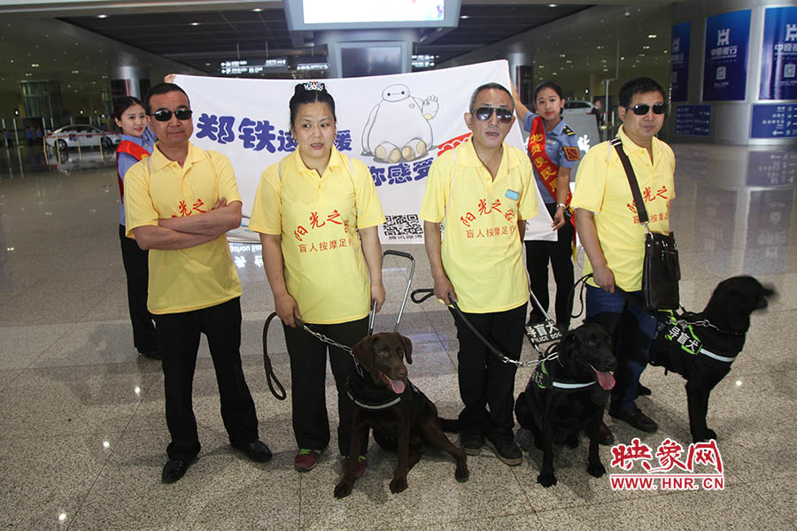 他們此次攜帶的導(dǎo)盲犬名字分別叫A米、戴安娜、凱西，A米是鄭州市第一條導(dǎo)盲犬。