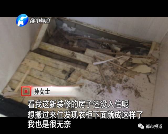 蟻?zhàn)宕筌娙肭?！十幾萬裝修的新家被“吃掉”