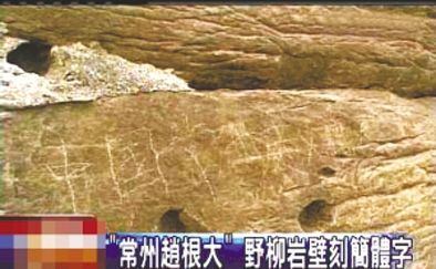 “常州趙根大” 2009年3月27日，臺(tái)灣北海岸野柳地質(zhì)公園巖壁上被刻下“中國(guó)常州趙根大”字樣。臺(tái)灣媒體將此事報(bào)道后，趙根大公開道歉。
