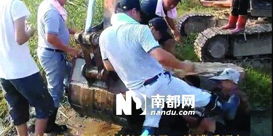 幾名戴黑帽的男子將一名老人推入水塘，后反復(fù)腳踹。