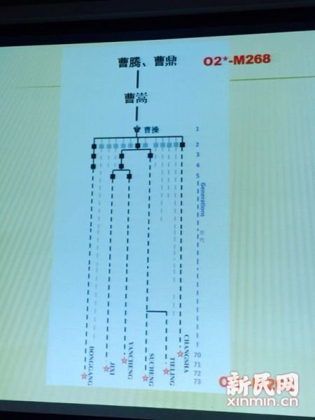 圖說：復(fù)旦課題組發(fā)布曹操家族DNA研究結(jié)果。新民網(wǎng) 記者 李欣 攝