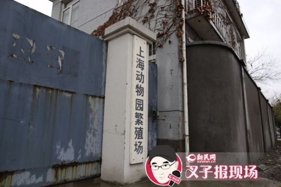 圖說：新民網(wǎng)記者趕到時，上海動物園繁殖場大門緊閉。新民網(wǎng) 記者 蕭君瑋 攝