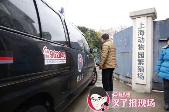殯葬車到達現(xiàn)場。新民網(wǎng) 記者 蕭君瑋 攝