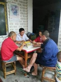 掃水掃不及，胥家鎮(zhèn)柏河村的居民干脆打起了麻將。