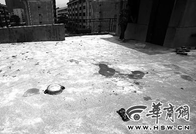 藏獒就養(yǎng)在這個(gè)樓頂，孩子從欄桿處墜落 本報(bào)記者 趙航 攝