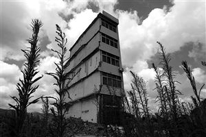 這幢5層的“片片樓”周圍已是一片拆遷后的廢墟，左邊的一堵墻上，不少鋼筋裸露在外面 圖片來源：新華網(wǎng)
