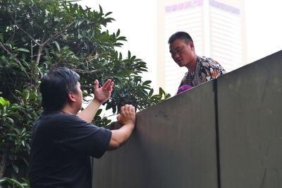 黃主任站在獨木樁上與男子交談了近半小時。
