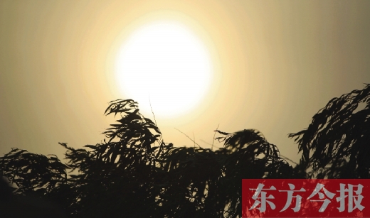 五月十四日，傍晚時分，鄭州的天空再次被沙塵遮蓋