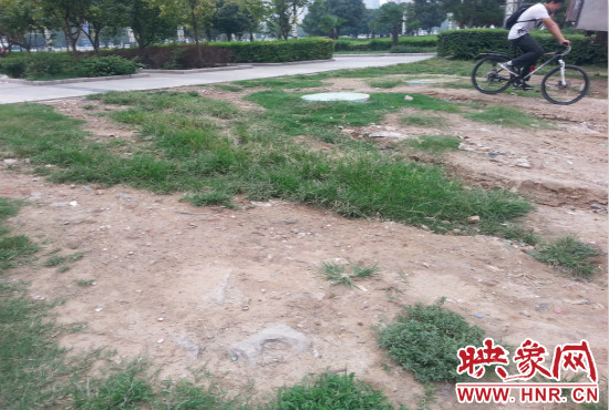 公園內(nèi)大片草坪遭到破壞。