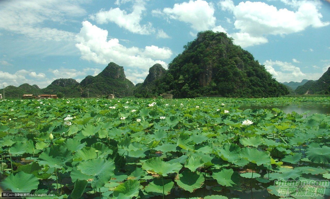 爸爸去哪兒？親密接觸荷花仙子