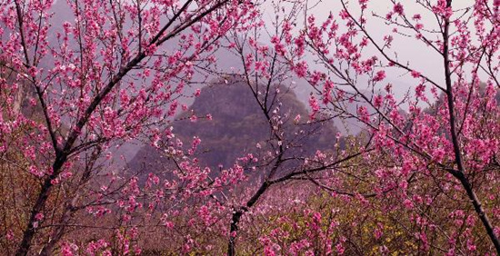 撿垃圾換玫瑰 女人節(jié) 愛在神農(nóng)山！