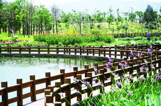 樂(lè)享綠色夏日 濕地公園生態(tài)親水之旅