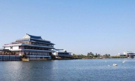 樂(lè)享綠色夏日 濕地公園生態(tài)親水之旅