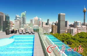 酒店屋頂游泳池俯瞰公園美景。