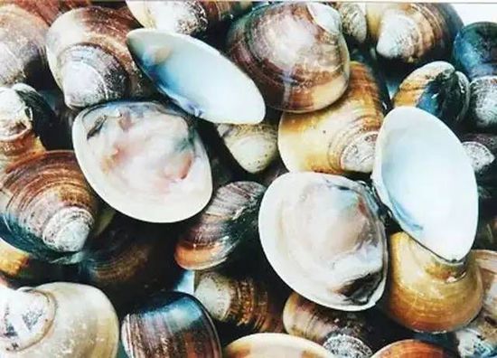 秋季最適合吃的海鮮是這10種 你吃對了嗎？
