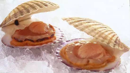 秋季最適合吃的海鮮是這10種 你吃對了嗎？