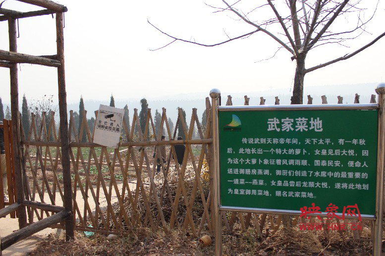 武家菜地就是這，據(jù)說里面有個(gè)特大的蘿卜