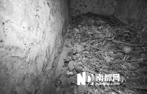 　5月29日，在以色列特拉維夫市雅法地區(qū)，一處集體墳?zāi)贡话l(fā)現(xiàn)。