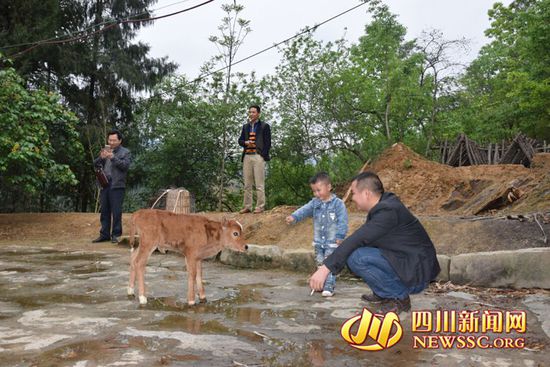 村里人知道后，前來看熱鬧