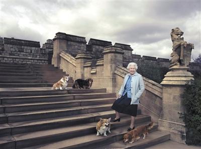 英國(guó)女王與她的愛(ài)犬。