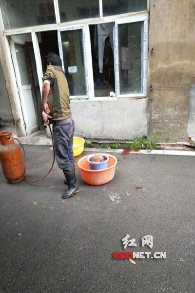 5月8日，男子在校園里殺狗，地上殘留一塊血跡。目擊者供圖。