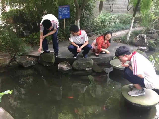 學(xué)生在校園釣龍蝦:香腸雞架當蝦餌 半小時釣50只