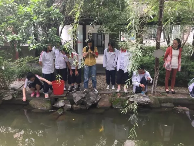 學(xué)生在校園釣龍蝦:香腸雞架當蝦餌 半小時釣50只