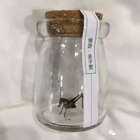 看看我的成果吧！