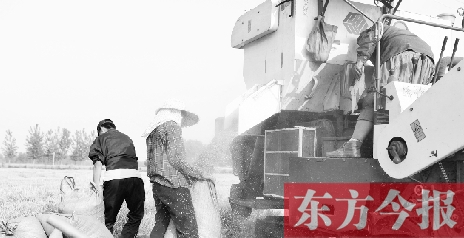 李正厚的妻子鮑本華（右）和一位村民拎著麻袋來到收割機(jī)前，接住傾倒出來的麥粒
