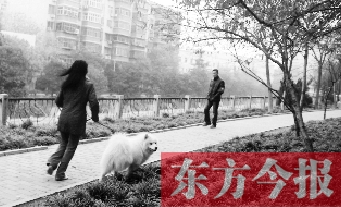 12月3日，鄭州市南關(guān)街熊兒河旁，一名遛狗的女子見到執(zhí)法人員檢查，迅速跑開