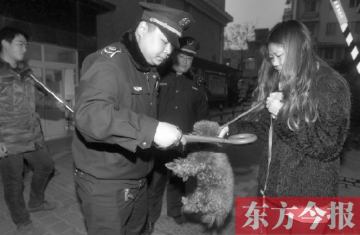 12月3日早上6點半，鄭州市南關(guān)街熊兒河旁，南關(guān)街辦事處的執(zhí)法人員對狗進行排查