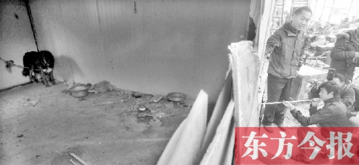 12月4日，鄭州市未來路與隴海路交叉口西側(cè)，執(zhí)法人員用吹管麻醉針對(duì)付一只藏獒