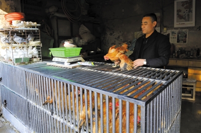 南京另一家農(nóng)貿(mào)市場(chǎng)內(nèi)待售的活雞。因南京出現(xiàn)H7N9禽流病例，買活雞的顧客減少。