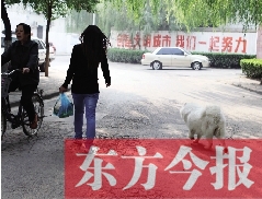 啟明一巷內(nèi)，一名女子帶著狗狗去買菜。狗隨地大小便，狗的主人未制止