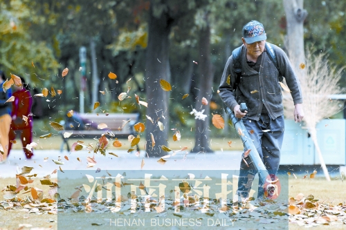 秋風吹過，落葉滿地