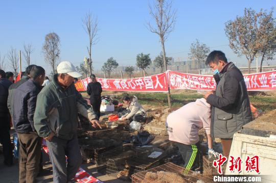 圖為百余名愛狗人士把老李的貨車攔截，數(shù)十人正在從貨車上卸下裝滿狗的鐵籠。　馬義恒　攝