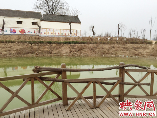 護(hù)欄損毀的地方，已經(jīng)被兩根樹(shù)干擋住。