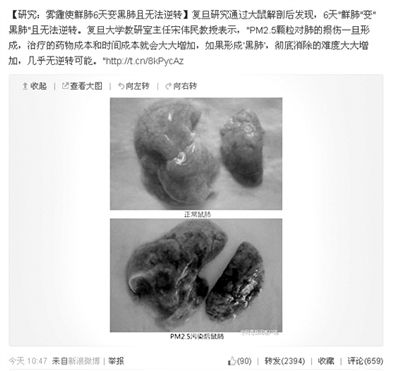 昨天，一則“霧霾使鮮肺6天變黑肺”的新聞在網(wǎng)上引發(fā)熱議。網(wǎng)絡截圖