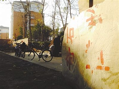 昨日，“上海奇石盆景博物館”原址上，已矗立起小區(qū)樓盤，而刻著博物館名的巨石，廢棄在一旁。本版圖片/新京報記者 張永生 攝