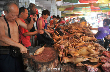 玉林狗肉節(jié)。
