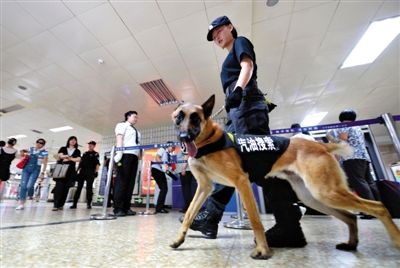 地鐵王府井站搜汽油警犬在安檢口巡邏。新京報記者 王貴彬 攝