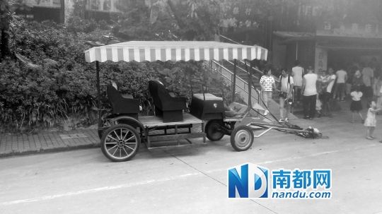 園方則稱解剖后發(fā)現(xiàn)馬死于心臟衰竭，“與累無(wú)關(guān)”。