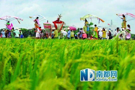 崖口村每年都在村里舉行飄色巡游活動(dòng)。